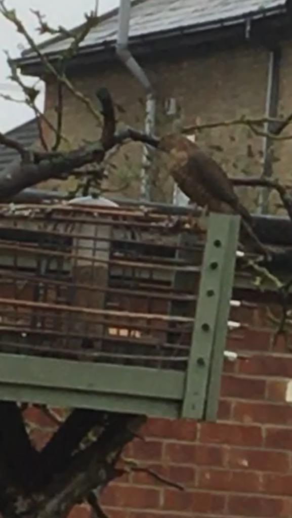 Vijaya Ahtti tweet media