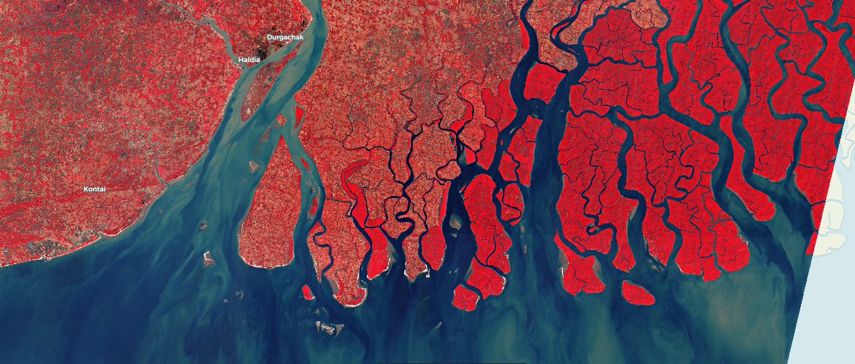 ashimmitra's tweet image. #Sentinel2 captured clear sky view of 'City of Joy' #Kolkata along with #Sundarbans, a mangrove area in the delta formed by the confluence of #Ganges, Brahmaputra and Meghna Rivers in the #BayofBengal on 02/01/19. 

@CopernicusEU @annamaria_84 #WestBengal #India @Pierre_Markuse
