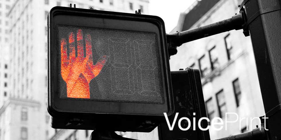 Voice Print tweet media