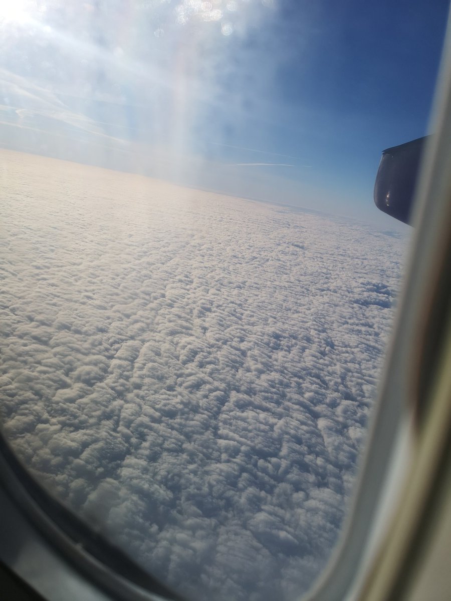 Ryan Laird tweet media