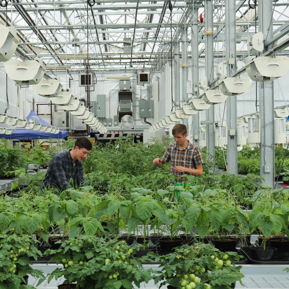 CanadaTrade's tweet image. “There is incredible growth potential in areas like #cleantech where our companies can count themselves among the very best in the 🌎.”-Min. Carr spoke w/ @futureconomy about Canada’s ambitious trade diversification strategy: bit.ly/2GcpF5w #TimetoDiversify #Cleantech100