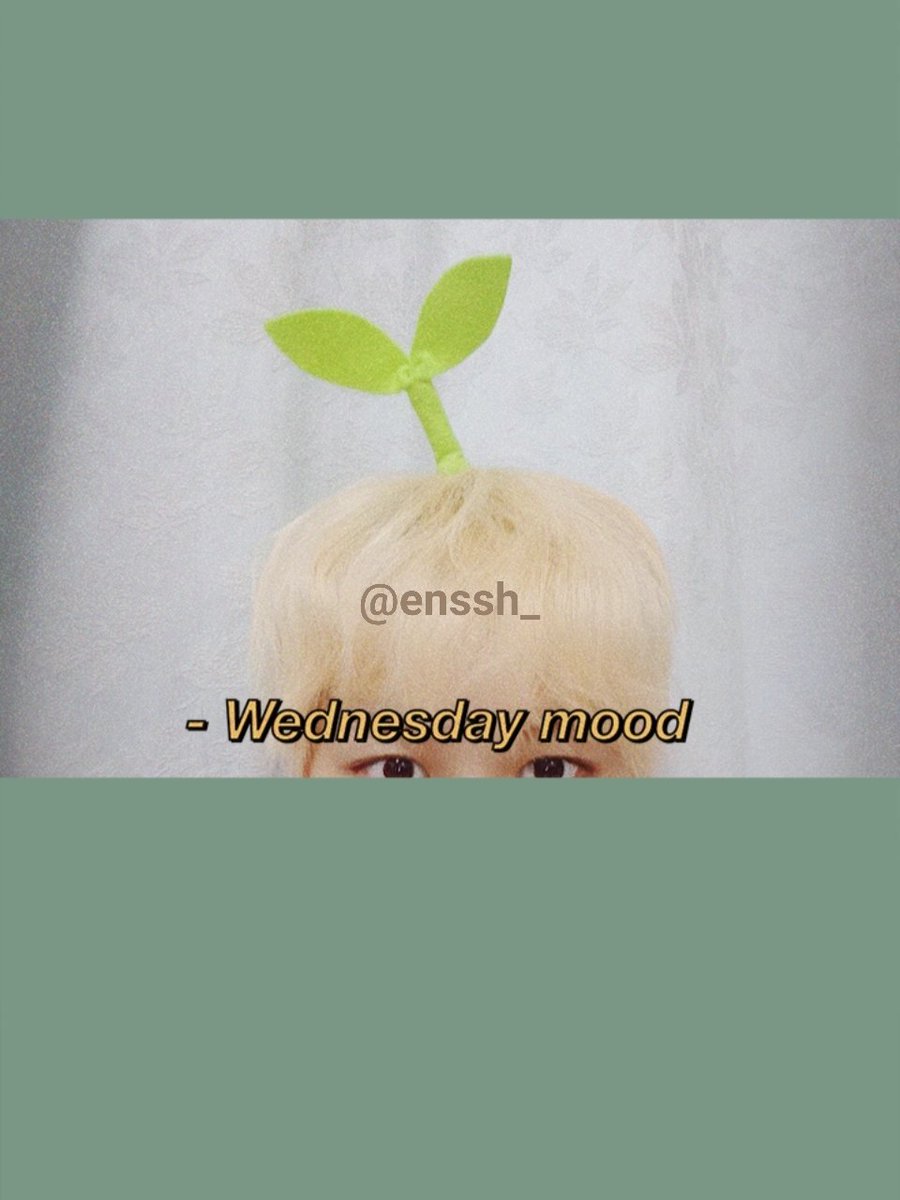 ปวดหลัง tweet media