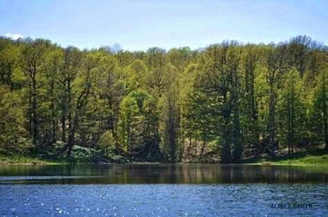 ammellinna's tweet photo. Le #lac noir(agelmim aberkan) d'#Akfadou, à1200m d'altitude.
#Adekar
#Béjaïa
#Algérie https://t.co/DVQ4JDUbVp