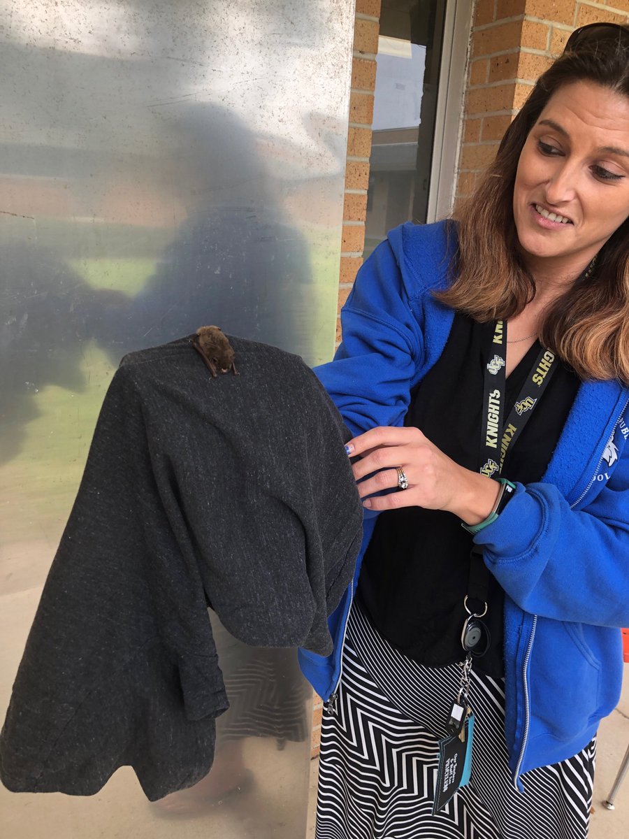 noelnehrig's tweet image. ⁦@EPS_Bobcats⁩ going batty over #vcsblendedlearning today. No bats were harmed in the production of this photo.
