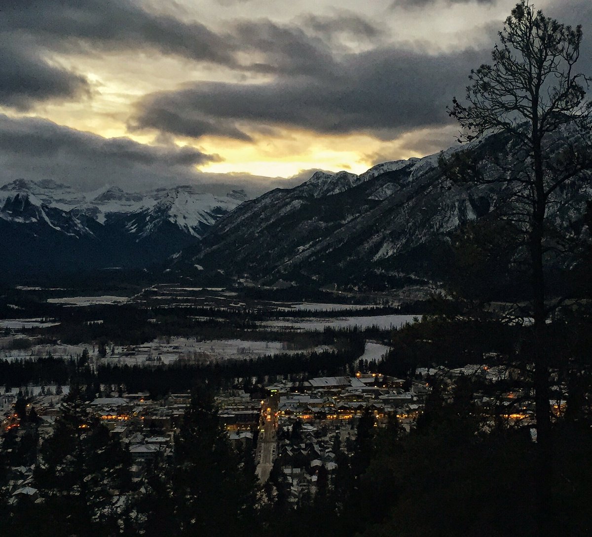 A Banff Boutique Inn tweet media