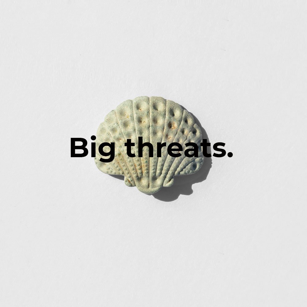 Small #plastic pieces, like this plastic button, can be mistaken for food by marine life. They can become microplastics that threaten the health of the entire ocean ecosystem. #4ocean