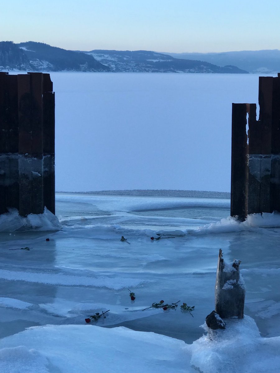 Eivind Arne Bjaaland tweet media