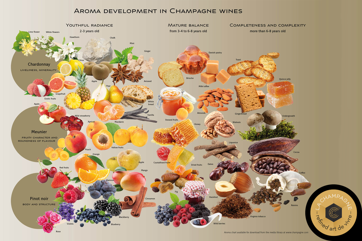 [ Arômes ] 

Connaissez-vous l'évolution des arômes des vins de Champagne ?
Source : Comité Champagne - ow.ly/3YVn30nvT9m