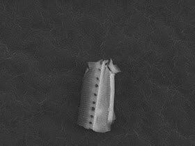 ufosfootage's tweet photo. British Scientists Claimed To Have Found Proof Of Alien Life 👽🛸👽: https://t.co/tm0CYPvw4F #ufosightingsfootage #btitishscientistsfindaliens #aliensinspace #spacecreatures #microbealiens #miniaturealiens #aliens #realalien #realaliens https://t.co/un3324offn