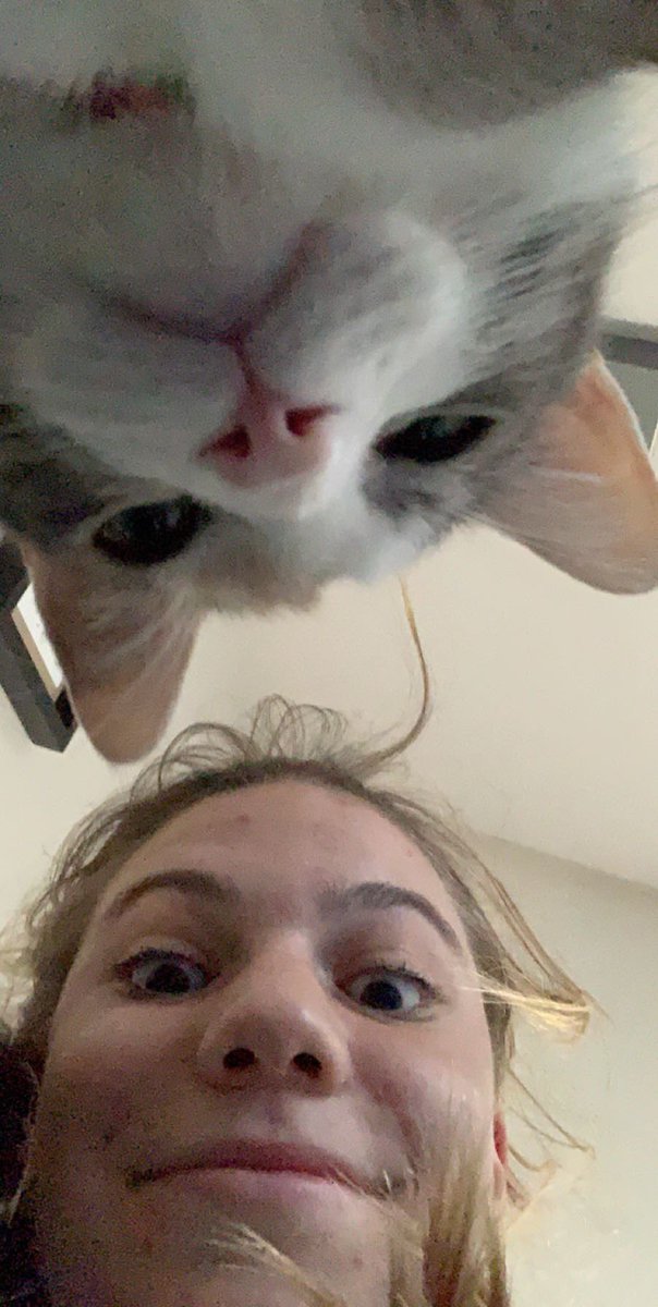Kiersten Gomez Coll tweet media