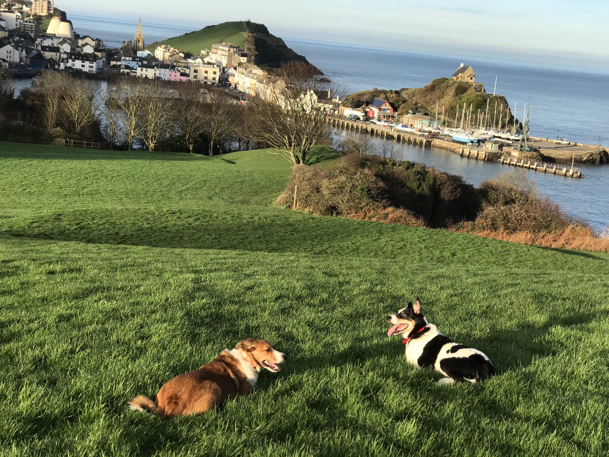 Lovely day in Ilfracombe @DickKingSmith @BCTGB @dogcelebration @davidwalliams #MondayMotivaton #BestFriend #Soulmates #PawsUp #paw #petsofinstagram #DogsofTwittter #mondaythoughts #dogfriendly #DogsAreBetterThanPeople #dogsquad #pet #Devon #devoncoast