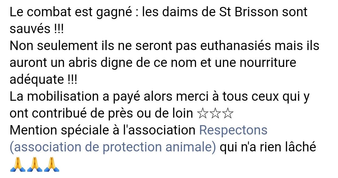 Respectons's tweet photo. Le combat est gagné : les #daims de #SaintBrisson sont sauvés ! Non seulement, ils ne seront pas euthanasiés mais ils auront un abri digne de ce nom et une nourriture adéquate ! La mobilisation a payé alors merci bcp à tous, ceux qui y ont contribué de près ou de loin #animaux https://t.co/hpL1Z00F68