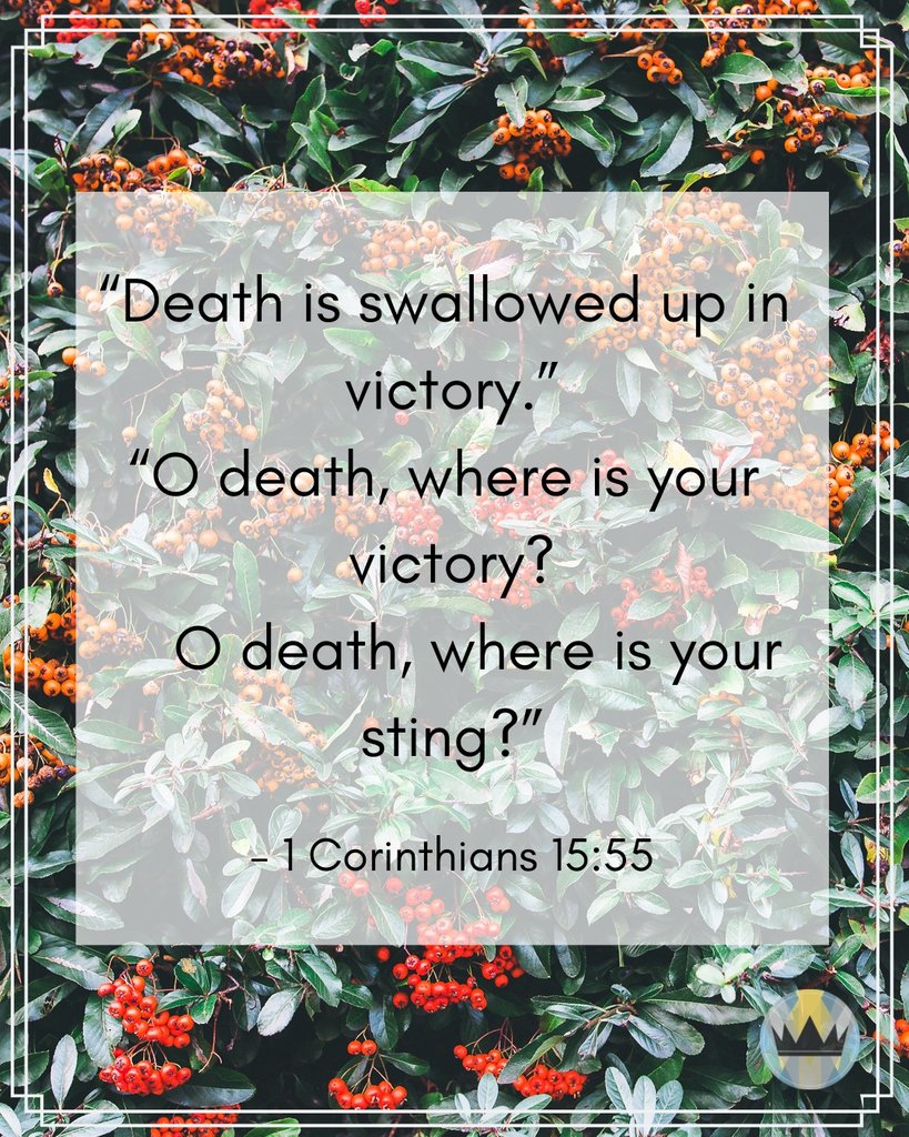 LibertiLarkLane's tweet photo. "But thanks be to God, who gives us the victory through our Lord Jesus Christ." Find out more by listening at
https://t.co/mPCCSRKNHc
#Resurection #Jesus #Liberti #AMoreExcellentWay #LibertiLarkLane #LarkLane https://t.co/X6tvln1FX3