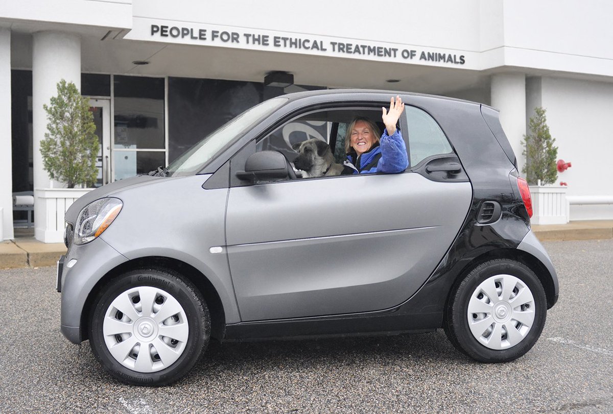 should i get a smart car