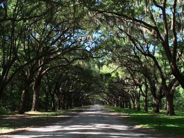 GAposts's tweet image. Savannah, Georgia