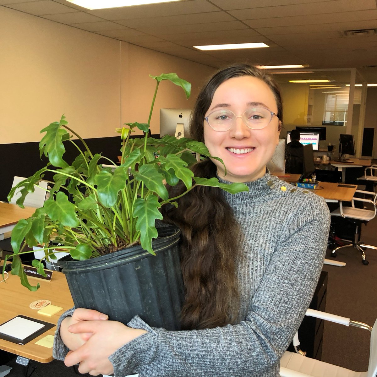 TheAppE's tweet photo. So we killed our #officeplant over the holidays. This time we are getting serious with a weekly watering reminder on Slack! #techjobs #officelife #bcstartup #yyjtech https://t.co/Du2CYmHssJ