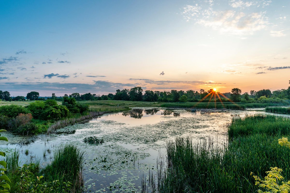 WildRefuge's tweet photo. Welcome, @RepSlotkin! We fight every day for the #RefugeSystem, and we need your help. Detroit River Int’l National #WildlifeRefuge is a vital part of the #MI08 community - help us protect this refuge and all others! @USWFSMidwest https://t.co/Hu5E3BoG4w