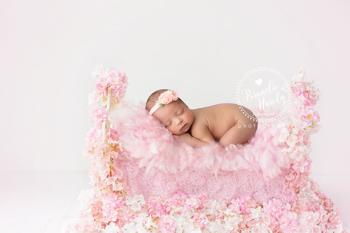 So many sweet baby girls in the studio this week! Baby N was so sweet in this floral setup! We cannot wait to see her back for her 6 month sitter session <3

~Clients we love when you TAG/SHARE