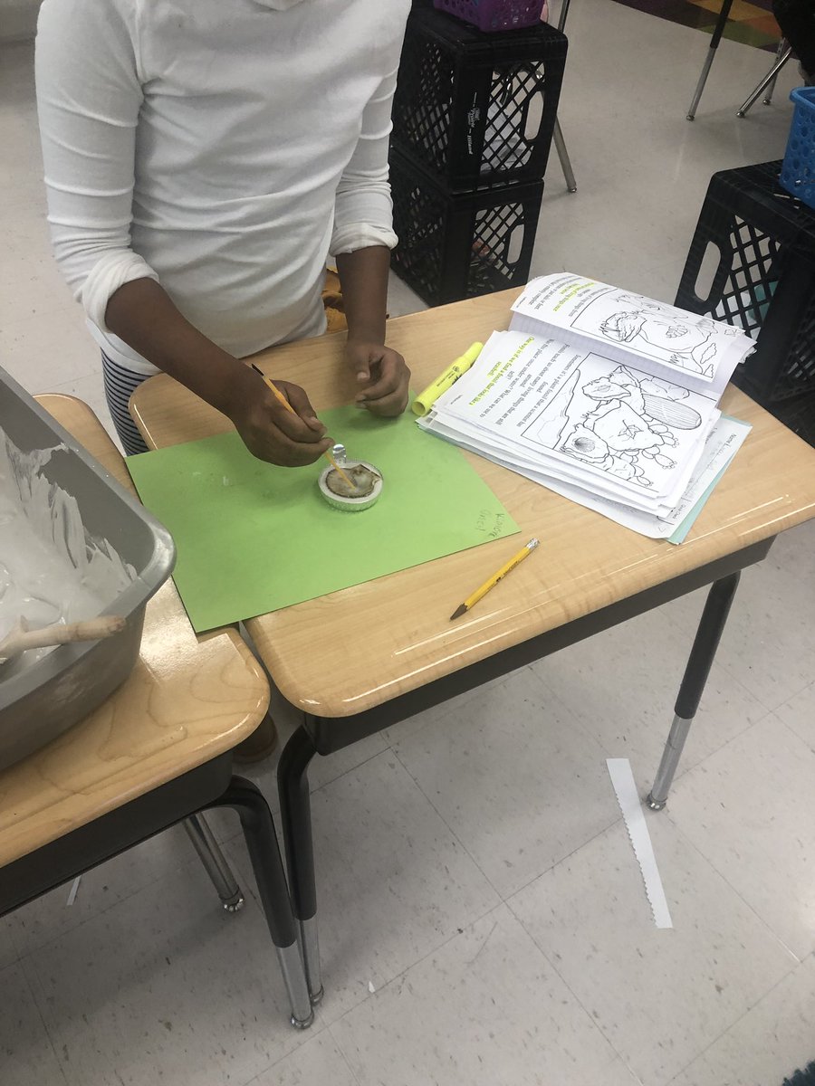 ShunettaD's tweet photo. How are fossils formed and what do they tell us about the distant past?? #mysci https://t.co/Wn0NMzFOfZ