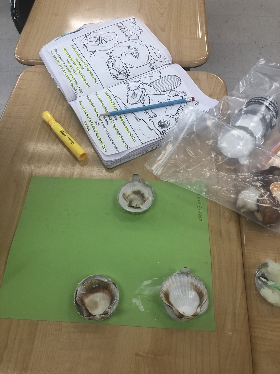 ShunettaD's tweet photo. How are fossils formed and what do they tell us about the distant past?? #mysci https://t.co/Wn0NMzFOfZ