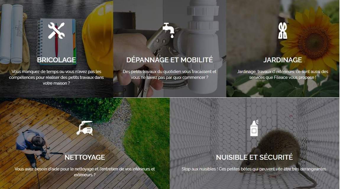 Fileace tweet media