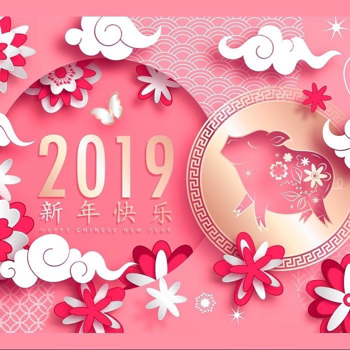 AirlineProsGrp's tweet image. Happy Chinese New Year of the pig! Time to celebrate with our carriers @vietjetvietnam @AIRMACAU1 @LaoAirlines #chinesenewyear2019