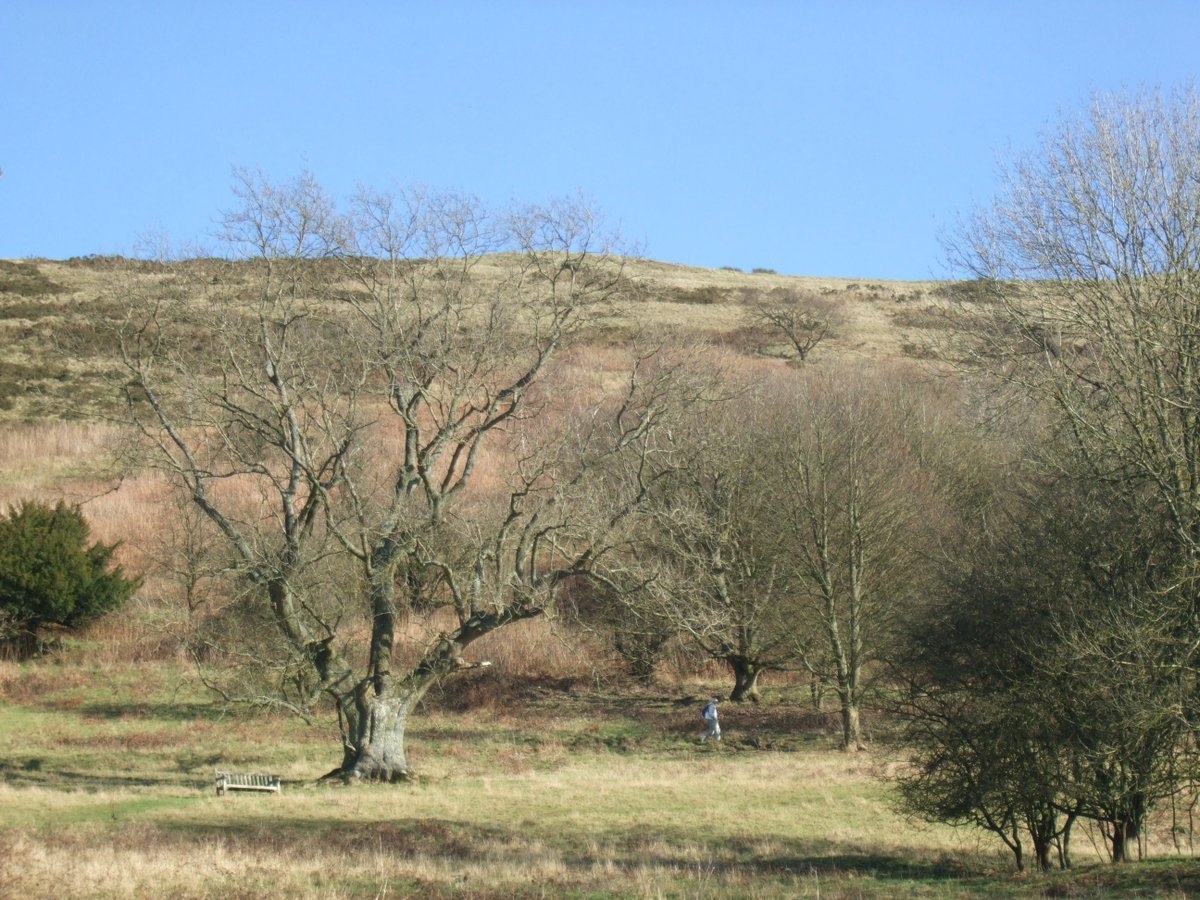 Fancy #coworking in an area of outstanding natural beauty every day? Well you can! At our #hotdesks and fixed desks up on the #MalvernHills wyche-innovation.com/facilities/vir… #WorcestershireHour #FreshAir #FreshIdeas