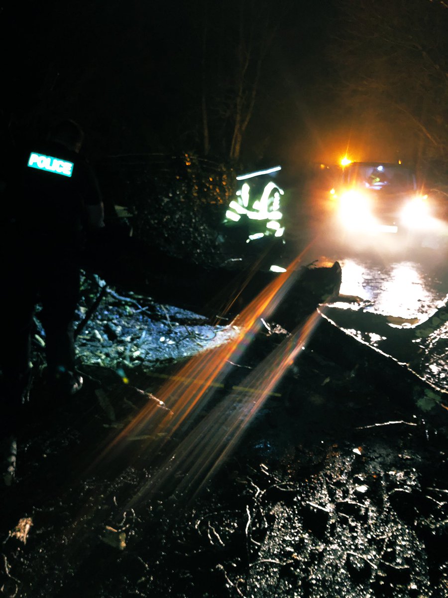 KentPolice7oaks's tweet photo. PC’s Tom and Ben from #Team1 Called to a Tree Down in #BitchetGreen in #Sevenoaks, arrived on scene and with a bit of brute force, help from local residents and Matt from @TheAA_UK tree was cut into bits and road opened! #teamwork https://t.co/9vIYZhTJEO