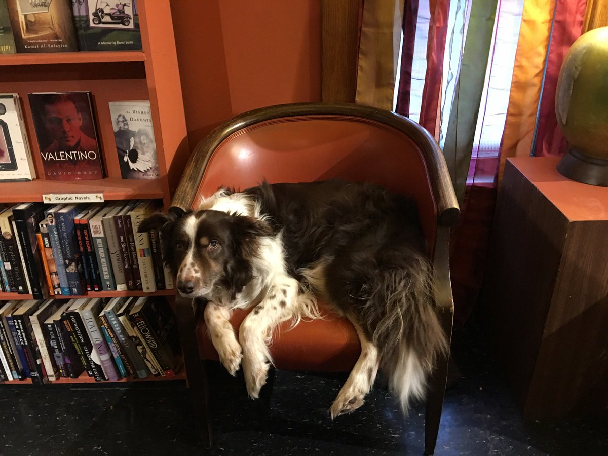 autbar's tweet photo. Last Days Common Language Bookstore @glbtbooks Mystery Grab Bag. 50% Off All books. Direct Shipped. Details https://t.co/bD3L77bXHc #A2local #a2books #AnnArbor #Realypsi @UmichStudents @UMSpectrumCtr @lgbtrc_emu @ILoveGayMI @ILoveGayDetroit @ILoveGayLGBT @ILoveGayBooks #lgbt #gay https://t.co/pv38LWRPOa