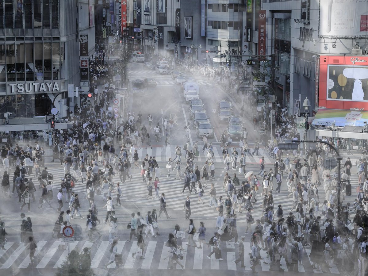 Lucinda Hartley tweet media