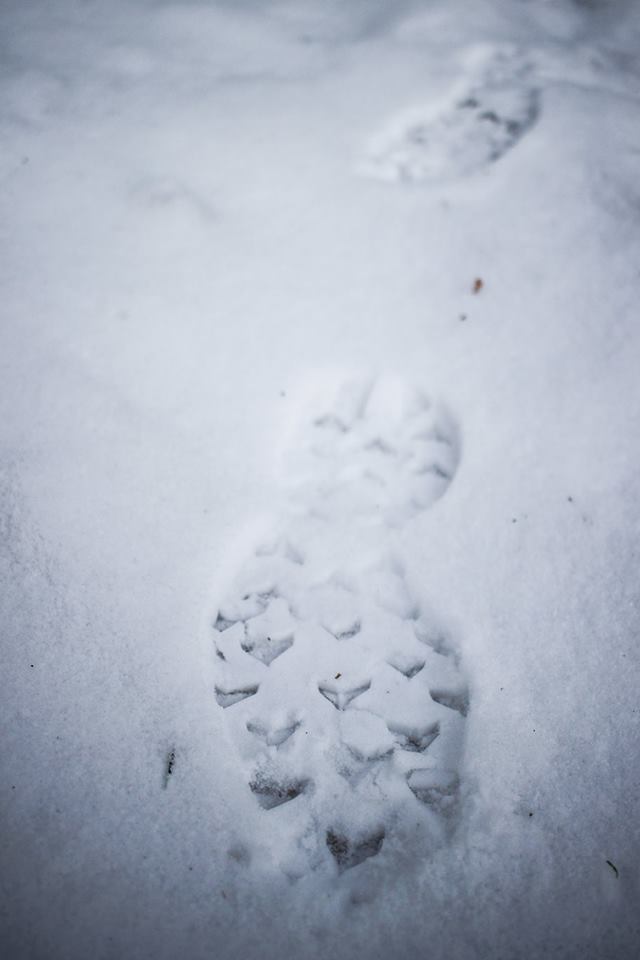 Coming soon! <a href="/TraKKsBelgium/">TraKKs</a> 
SPEEDCROSS 5! The rawest emotion
#TimeToPlay

Photo:  <a href="/reiter_philipp/">Philipp Reiter</a> 
Video: youtube.com/watch?v=qsxlhK…