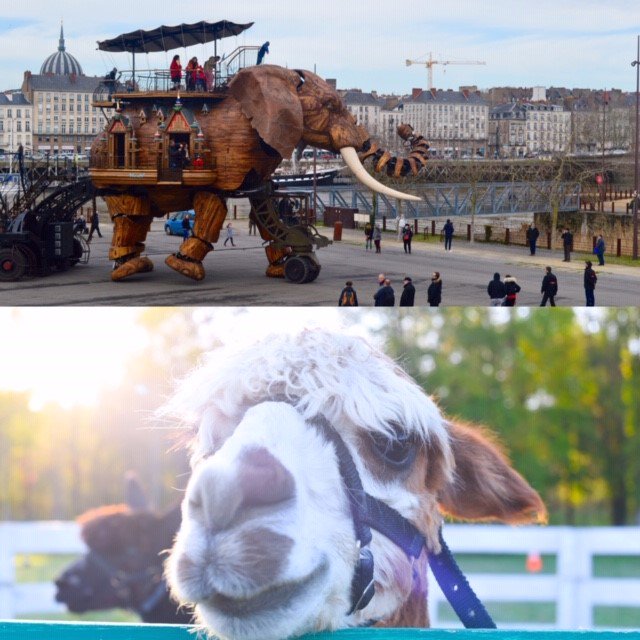 URAbroad's tweet photo. Thank you to all who voted on Friday! Here are the winners of the Community Vote category for The Education Abroad and International Student Photo Contests. Congratulations! #Rochesterabroad #GlobalPhotoContest #CommunityVote https://t.co/vKqblK4Xee