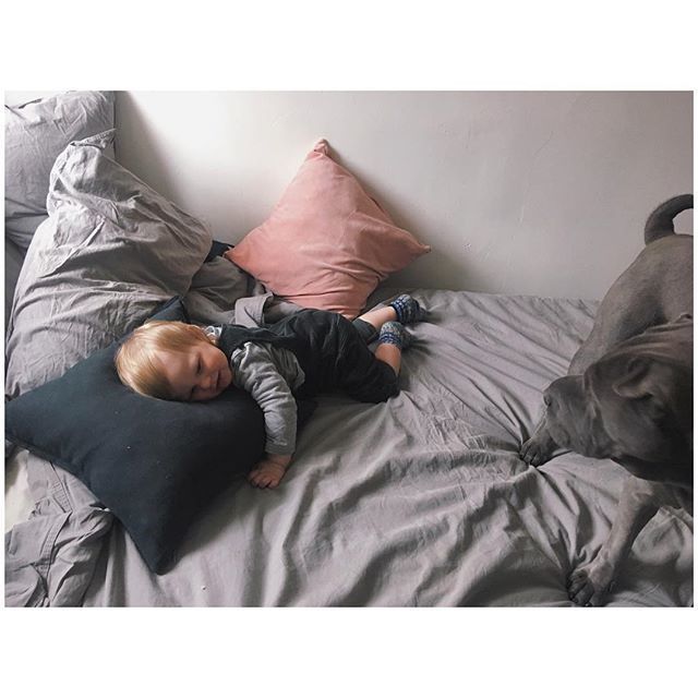 everythingakin's tweet image. seems it might be less like a season of chaos and magic more like a lifetime, kiddo. but you’ll like this life kid. we’ll be so rich in laughs + pizza if nothing else. the dream kinda rich. bit.ly/2WHod0H