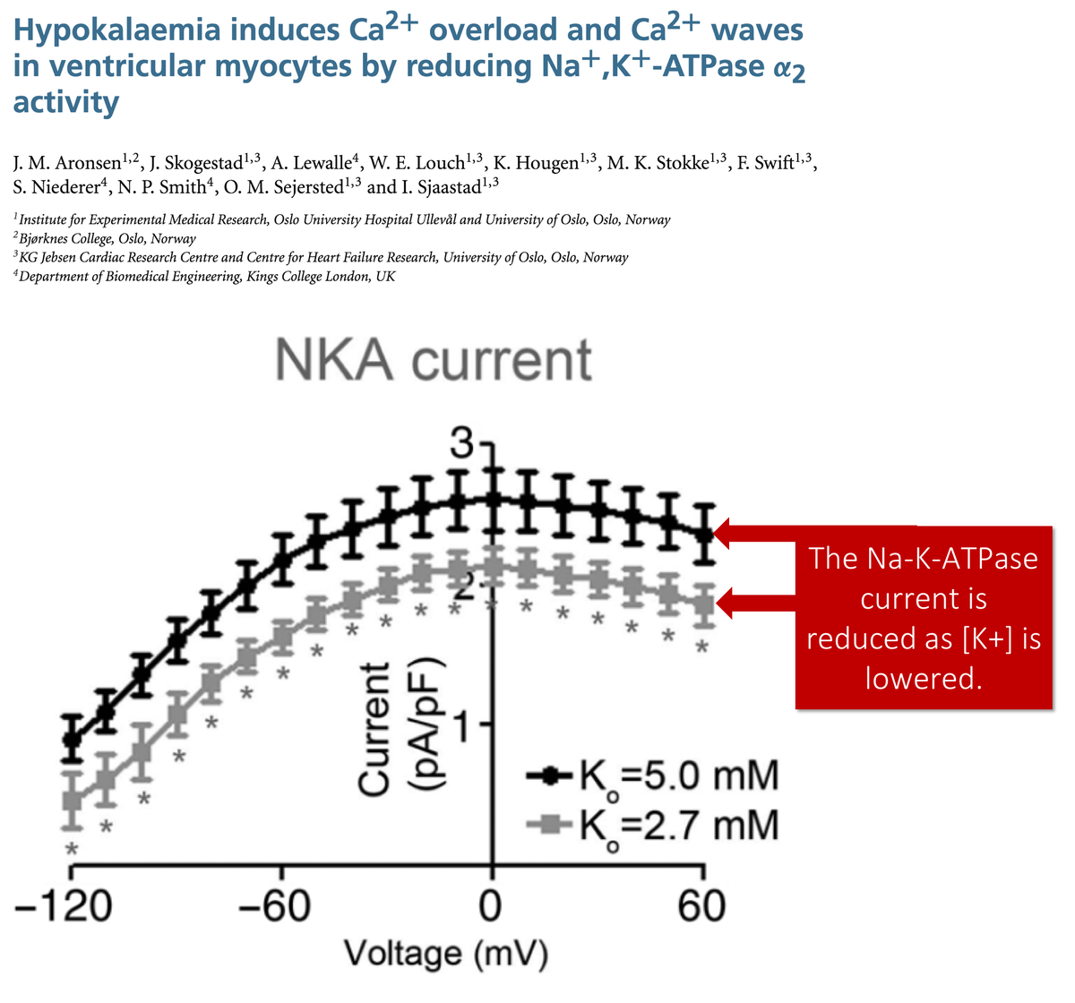 13/In rat myocytes, a reduction in [K+] from 5.0 to 2.7 mEq/L resulted in a decrease in Na/K-ATPase current of 48%.As Na/K-ATPase function decreases, this leads to: intracellular [Na+], resulting in Na/Ca exchanger, and intracellular [Ca+] https://www.ncbi.nlm.nih.gov/pubmed/25772299 