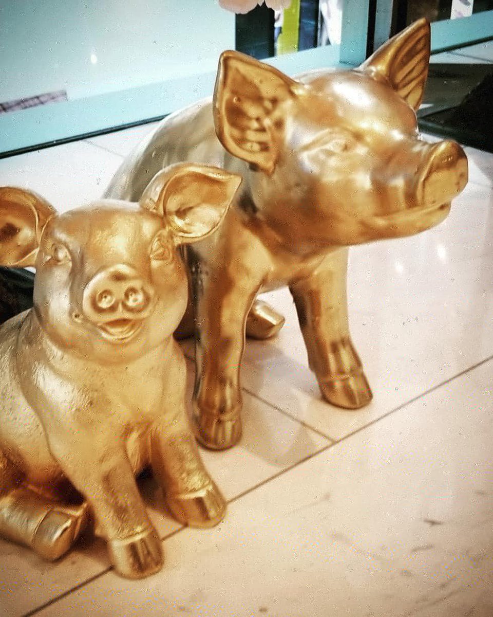EnspiredPlus's tweet photo. Lunar New Year is a special time to gather with family and friends, and the Enspired+ team is visiting our friends today with some lucky candy to kick off the year of pig!
Wishing everyone a very happy and lucky year of pig!
#LunarNewYear #YearOfPig #EnspiredLife @unitedwayaus https://t.co/lkkJDEqadM