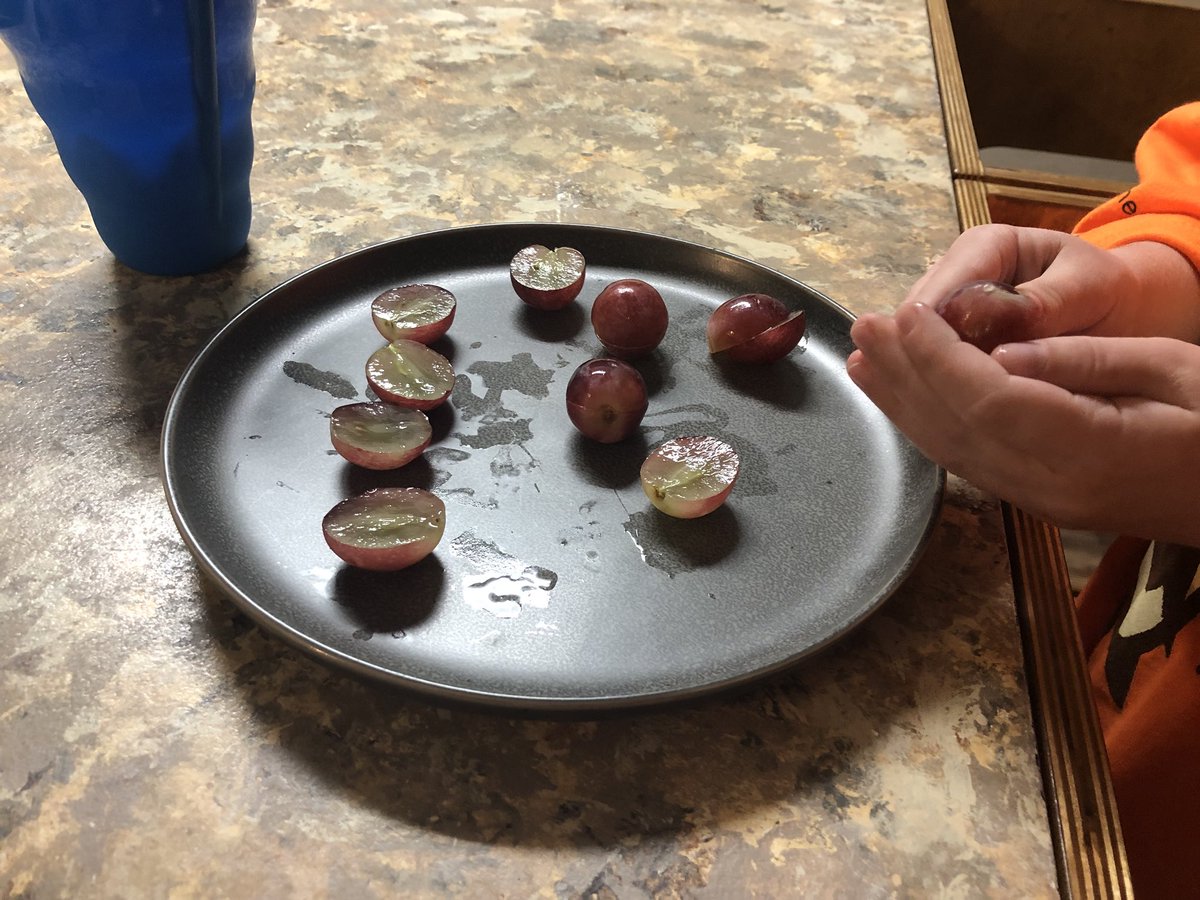 MrsSasser's tweet image. Little man counts grape halves. Me: “if there are 14 half grapes, how many whole grapes do you have?”  With no other prompting, he says, “let’s put them together and see.”  He counts 7 whole grapes. Me: “So do you know what 7 and 7 make?” Him: 14? 😁😁 #tmwyk #fractionsarefun