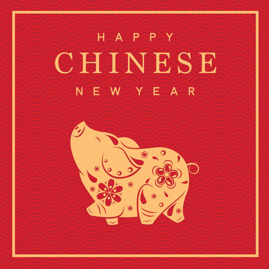Happy Chinese New Year! 🐷