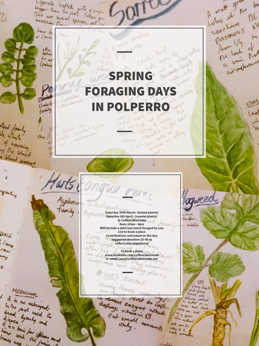 coffeeccreate's tweet photo. Spring Foraging days :- these days are led by Tom Morgan. The days include an informative foraging walk and a lunch with all the wild finds! 
Places MUST be booked mail Lesa@coffeecakecreate.net #vegancornwall #Polperro #foraging #lovecornwall @coffeeccreate https://t.co/0G308goY5K