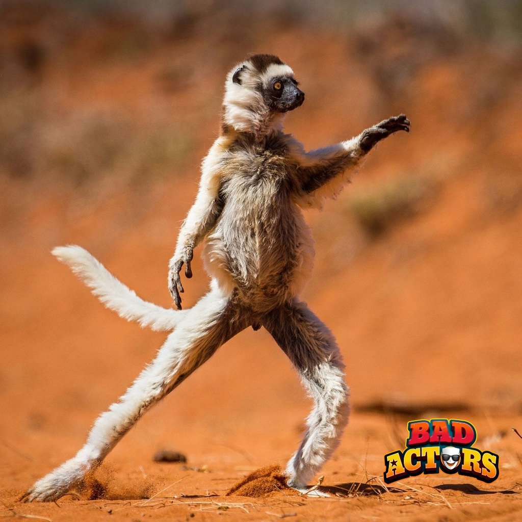 Zoboomafoo grew up and embarked on a new passion project - check out his new show, Zumba-afoo, on PBS.