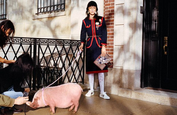 _FashionPets_'s tweet photo. Bon, quand c'était l'année du chien ça passait. Mais là quand même... #Gucci #YearOfThePig #fashion #crazy https://t.co/lWVmK5Ir5G