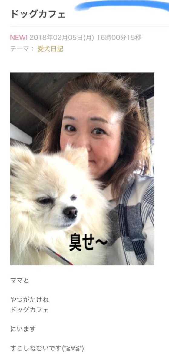 Yogi The Prejident ペットショップで犬は買う 毛皮は着る ドッグカフェに行く 臭いと言う とんでもない時代遅れ 思いやりゼロな婆であるな 泰葉 バカ芸能人 動物愛護法改正 ペットショップで買わないで