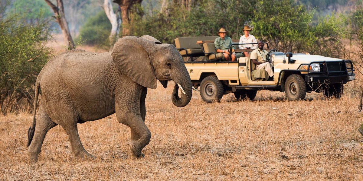 DestEarth's tweet image. Where is your favorite destination ? 
1) Africa 
2) Hawaii 
3) Cambodia 
destination-earth.org
Telephone: 1-800-681-5610
Email: info@destination-earth.org

#DestinationEarth
#TravelWithMeaning
#travelphotography
#funtravel
#instagood
#africa
#safari
#wildlife
#instadaily