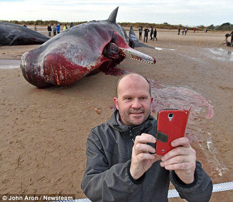 Dr. Donald Allen Deever tweet media