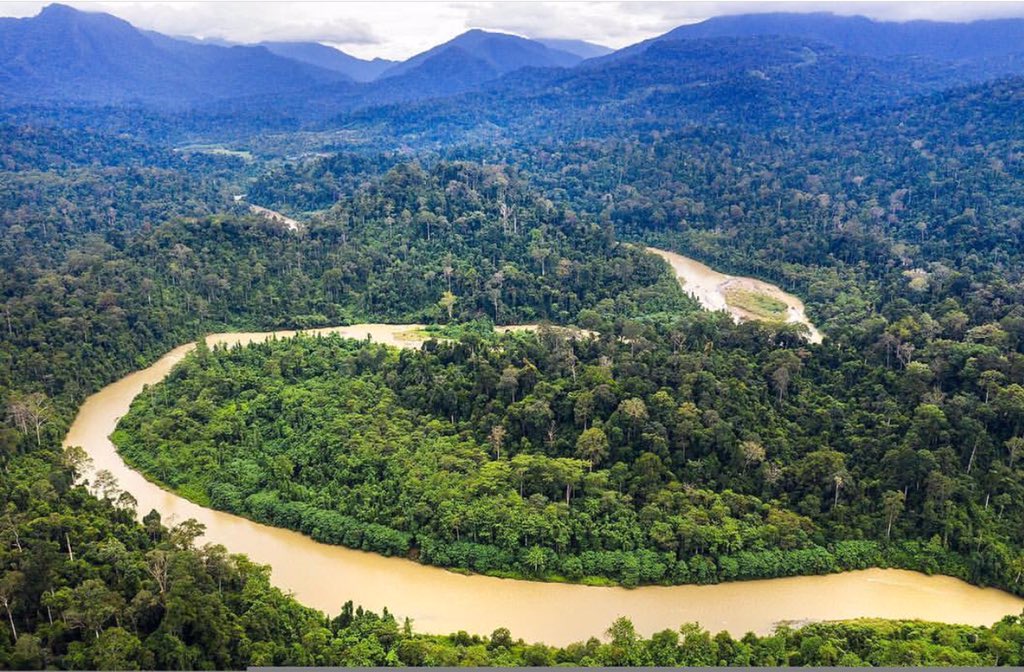 OneWorldAnimal's tweet photo. @LeoDiCaprio The planned Tampur hydro dam will destroy this pristine lowland forest of the Leuser, where critically endangered Sumatran elephants migrate. @pauljhilton #bertacaceres https://t.co/aN2Qg7ngXw