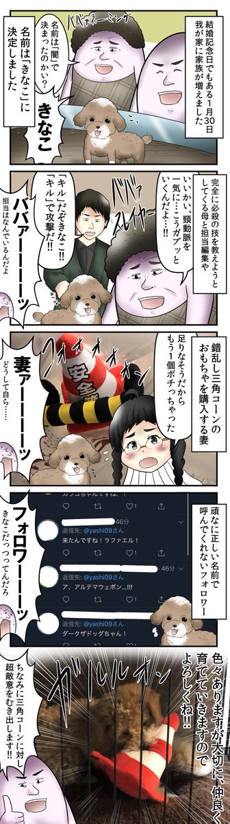 yashi09's tweet photo. 家に新しい家族がやってきた話
https://t.co/qMMAz5zijB
ちなみにこの記事はコメント欄がアホみたいな事になってるぞ！！！ https://t.co/ts0w4BHwam