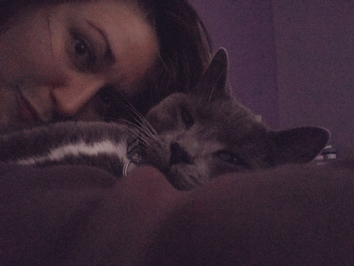 CdnShieldCarla's tweet photo. @AddyPottle #CatsOfCanLit too!

[ID: selfie headshot of white woman snuggling with grey cat lying down in luxury on a grey comforter in a purple room. End ID] https://t.co/8o8W9yjc6m