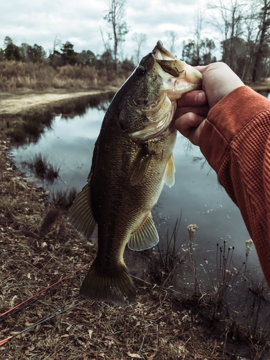 PlXEL_PUSHER_'s tweet photo. I love fishing
#fish #WOO #Bass #Lews #wootungstenprostaff #LureAddicts #FishingIsAContactSport #tacklewarehouse #fishinglife #watersport #largemouthbass #fishingvideo #fishingtrip #youtube #tightlines #lunkersquad #bassfishing #fishingislife #bassaddicts #blackscustomjigs https://t.co/Am3MX4fpPg