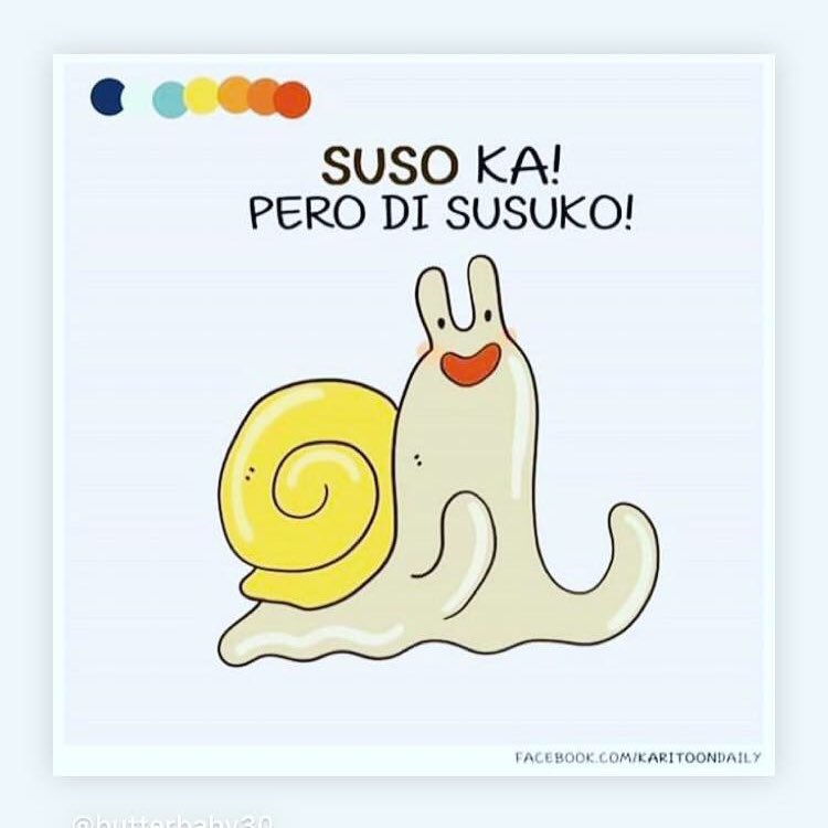 UP Dragonboat Team tweet media