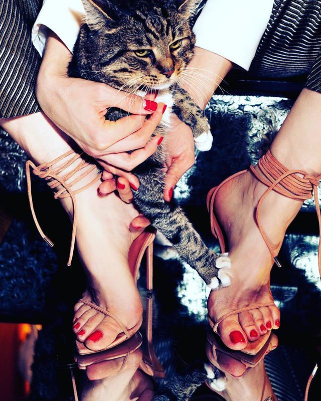 Eva for Katie Biltoft shoes
Styled and art directed by <a href="/evastorm/">Tien Phan</a>,
shot by <a href="/tsupka/">Ivan Tsupka</a> .
.
.
.
.
#editorial #styleblogger #fashionphotography #fashionstylist #stylist #fashioneditorial #styling #fashionmagazine #fashionshoot #fashionblog #hairstylist #fashion… bit.ly/2WIpHaM