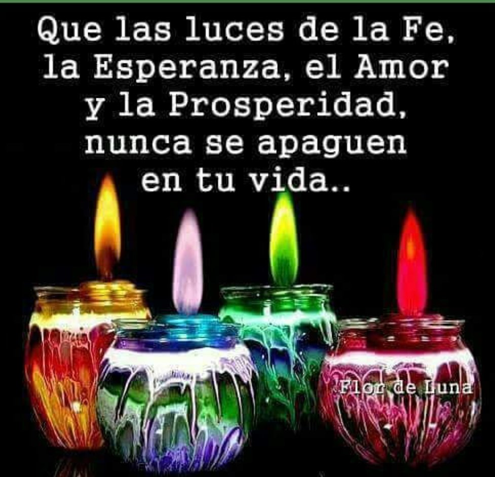 mamiRD_'s tweet photo. @Leona_Despierta @Mar_Sol_60 @lililuly_22 @CHIRA57 @aneligarova65 @AlbaRoss25 @PanteraRosadona @normagild @marianoalbi @gusrm01 @JMAsesor_Mx @alexdocjim 💚#YoSoyAmigoDeLaLeona
🍃🌻@Leona_Despierta🦁
Feliz semana 🌻 https://t.co/Err7dBWLgz